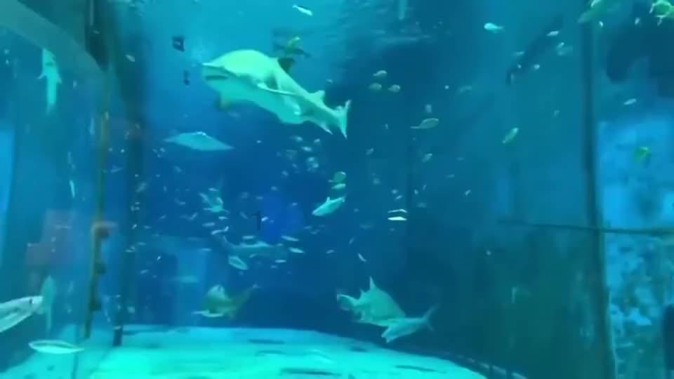 影视工厂